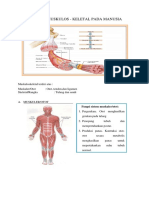 MUSKULUSKELETAL.docx