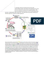 Draft Neurocysticercosis