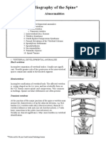 Radiography of The Spine