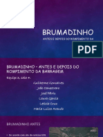 Brumadinho barragem rompimento desastre