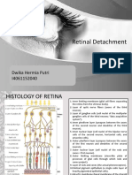 Retinal Detachment: Dwika Hermia Putri I4061152040