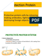 Protection Protein: Protective Protein Cells by Releasing, Making Antibodies, Fighting and Destroying Foreign Objects
