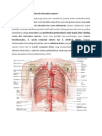 Vaskularisasi Arteri Pada Daerah Ekstremitas Superior (Tugas Renov)