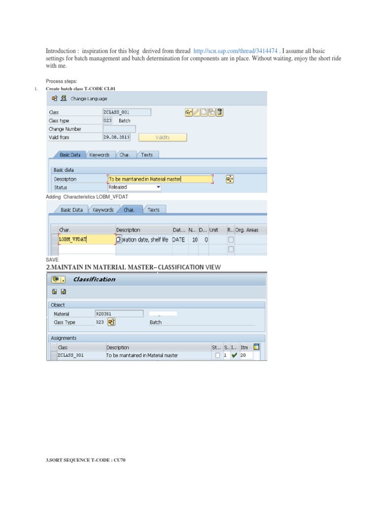 Classification View: Create Batch Class T-CODE CL01 | PDF | Computers
