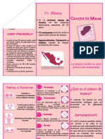 Triptico de Cáncer de Mama