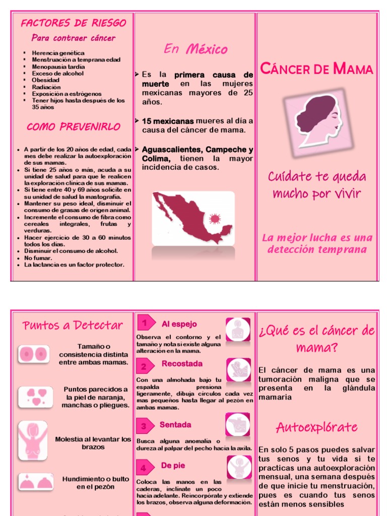 Triptico de Cáncer de Mama PDF Cáncer de mama Pecho