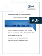 Rapport de Stage D'initiation