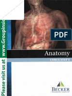 2013 Anatomy PDF