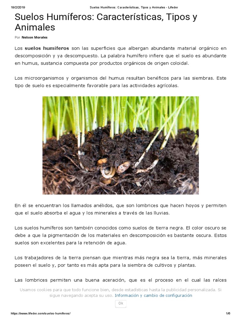 Suelos Humíferos - Características, Tipos y Animales - Lifeder PDF ...