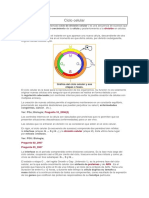 CICLO CELULAR PARA 1BGU.docx