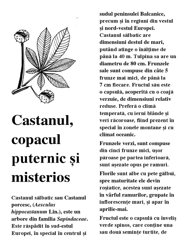 CASTANUL | PDF