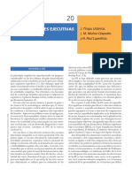 Funciones Ejecutivas PDF