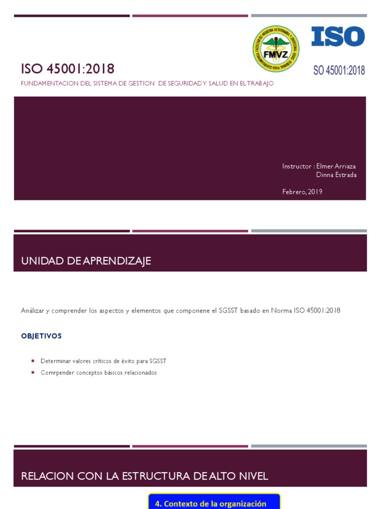 ISO 45001 0.2.pdf | Seguridad y salud ocupacional | Negocios