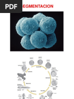 Teorica6Segmentacin PDF