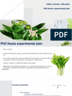 Medicine Herb and Herbal Pills PowerPoint Templates Standard