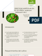 Buenas Prácticas Agrícolas en Tomate de Árbol (