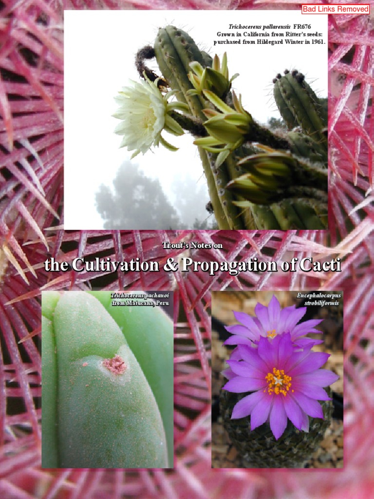 The Cultivation & Propagation of Cacti: Trout's Notes On | PDF ...