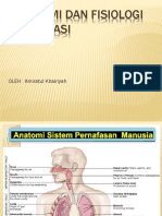 Anatomi Dan Fisiologi Respi
