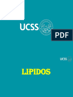 Lipidos