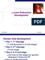 Human Embryonic Development: AP Biology