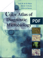 Atlas Diagnosis Mikrobiologi PDF