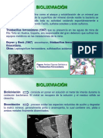 biolixiviacion.ppt