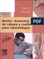 neter anatomia cabeza y cuello.pdf