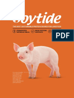 Soytide_Brochure.pdf