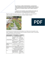 Los Microtúneles de Cultivo