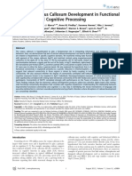 The Role of Corpus Callosum Development in Functional