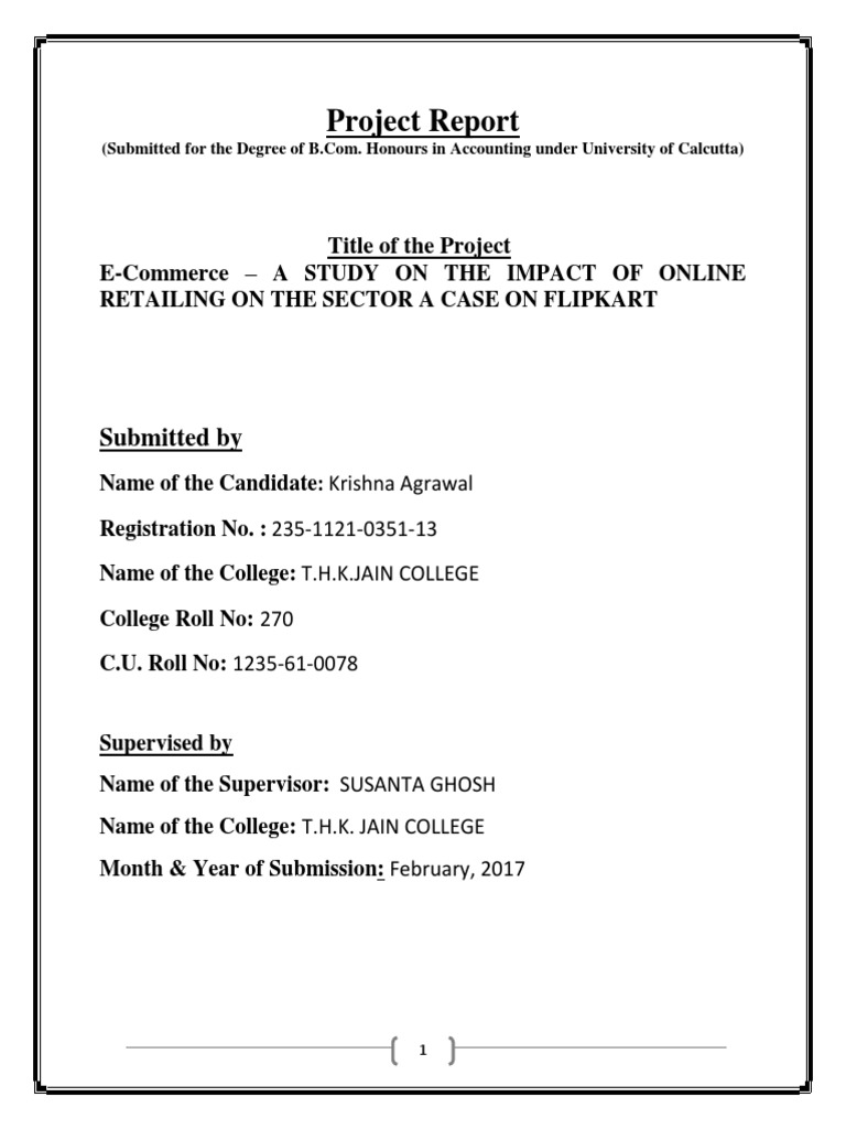 Project Report Title of The Project E-Co | PDF | E Commerce | Business