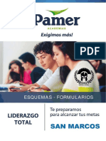 Formulario - PAMER