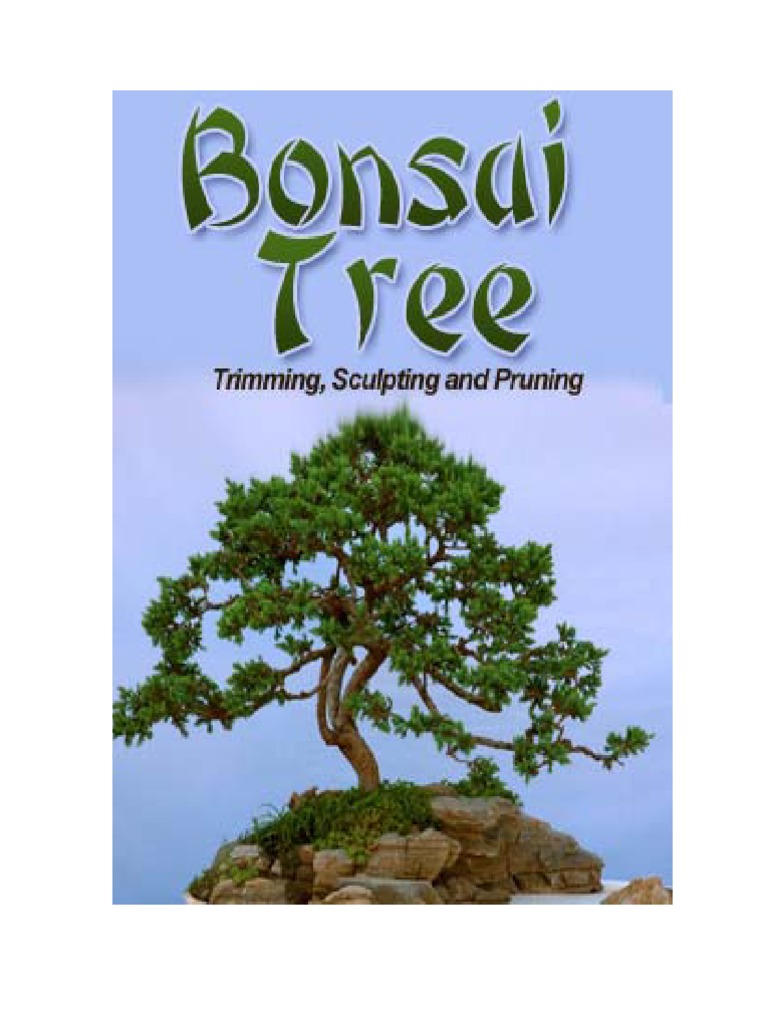 Bonsai Tree Trimming Sculpting Pruning 1 PDF Bonsai Pruning