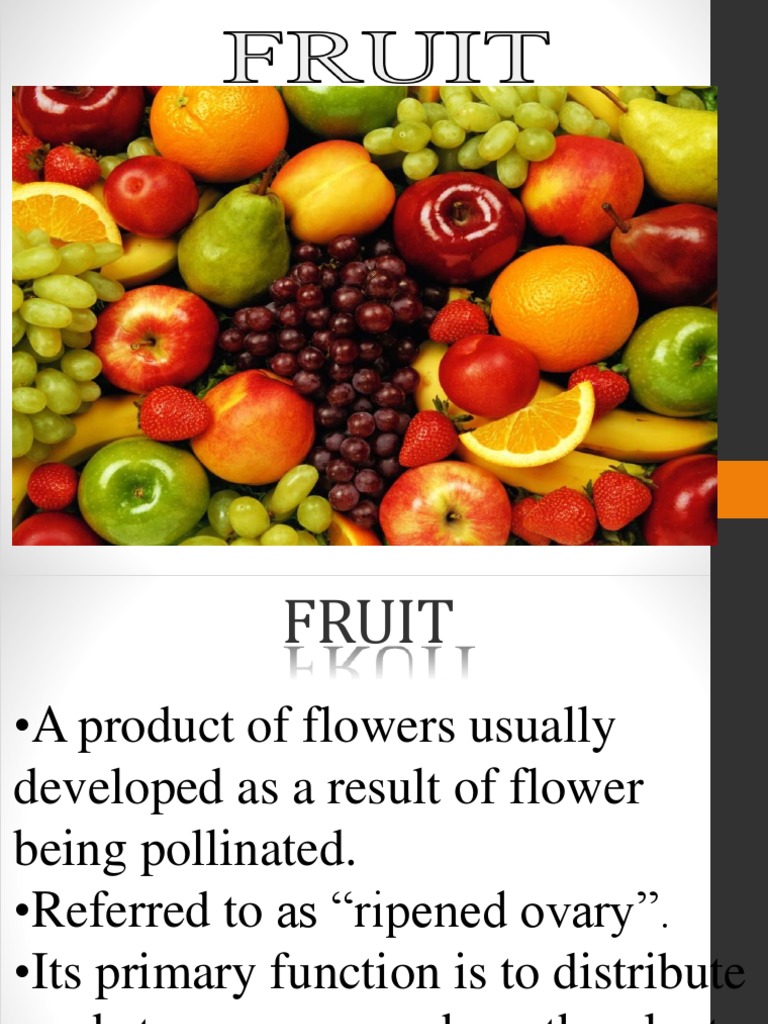 Fruit Biology PDF PDF Fruit Edible Plants