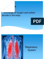 Respiration: Exchange of Oxygen and Carbon Dioxide in The Body