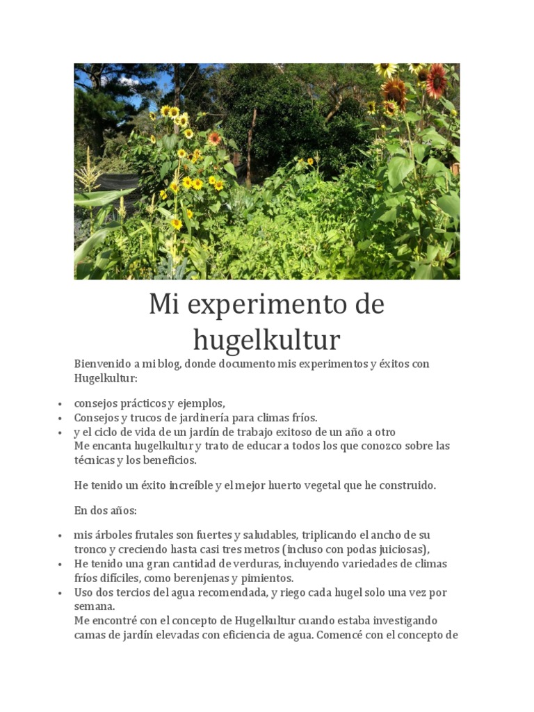 Tipos de frambuesa (foto y descripción) - plantación y cuidado | Un sitio  sobre un jardín, una residencia de verano y plantas de interior., image size:768x1024