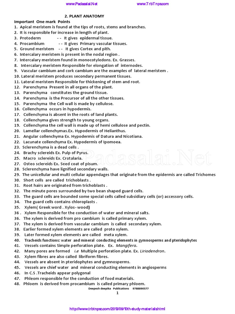 12th Standard Botany Study Notes | PDF | Cellular Respiration | Glycolysis