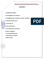 RESUMEN EJECUTIVO BIODIGESTORES NORTE.pdf