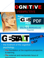 Cognitive Perspective Module