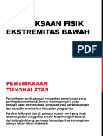 Pemeriksaan Fisik Lower Extremity