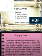 CENDAWAN