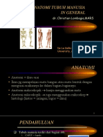 Anatomi UMUM Manusia DR