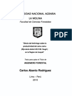 Camu Camu PDF