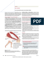 hoja-para-el-paciente-de-jama-140709.pdf