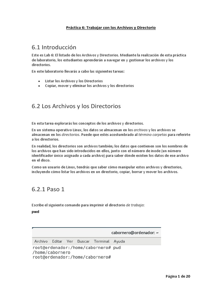 Práctica 6 | PDF | Directorio (Computación) | Archivo de computadora