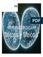 mitosis y meiosis