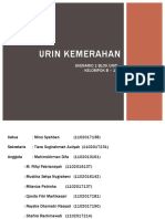 B-15 PPT SK 1 Glomerulonefritis 