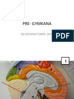 Pre Gymkana 2018 PDF