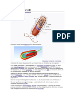 Célula Procariota