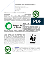 Instituciones Que Cuidan El Medio Ambiente en Guatemala